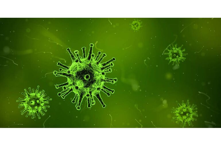 cells-dye-illness-microscopic